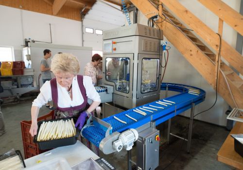 Spargelführung in Ebersried: die Spargelschälmaschine